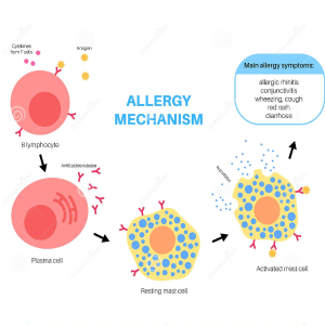top 5 ent specialist in surat